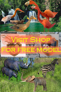 Free Download Toucan Bird Paper Craft Model