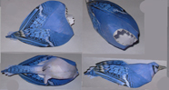 Blue Jay bird Paper Model