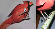 paper Bird Cardinal 
