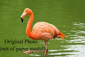 Flamingo Bird Paper Craft Model