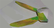 Bird 3d Model