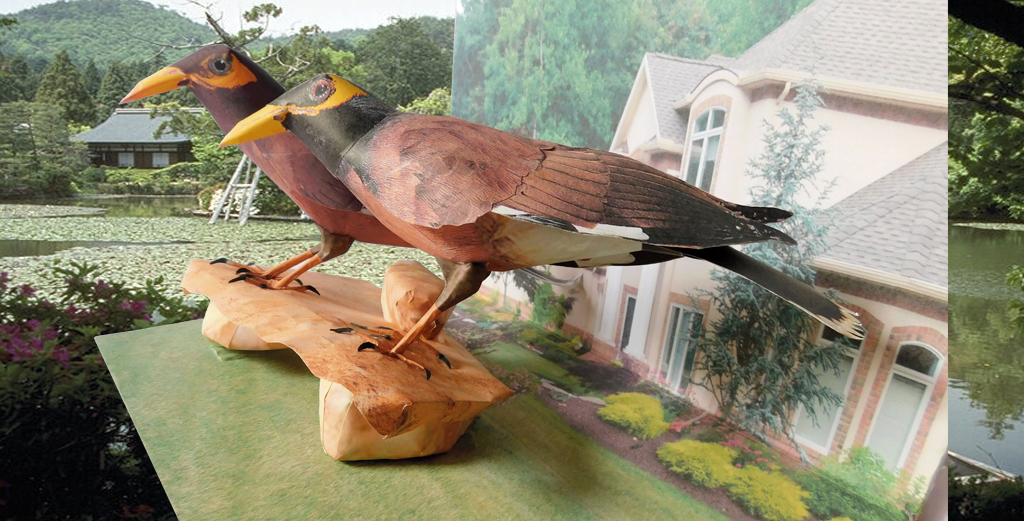 Maina Bird Paper 3d Model