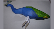 Free Download Bird Model