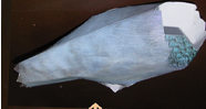 Download Pigeon Bird Paper Model
