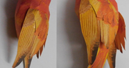 Bird Tanager Paper Model