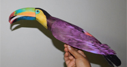 bird paper Models