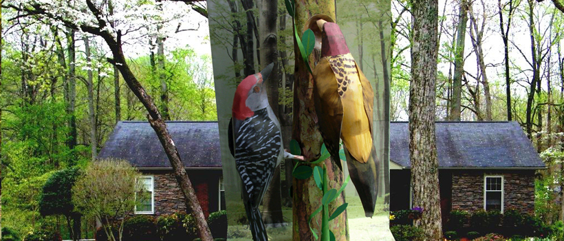 Woodpecker Paper Craft 3d Model