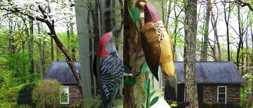 Woodpecker   Model 