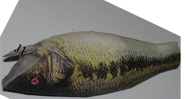 Fish Bass  Craft Model