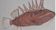 Paper Fish Lion craft models