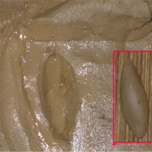 clay modeling 