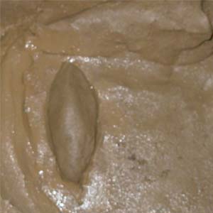 how to make clay head