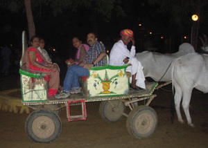 Images Jaipur Rajasthan