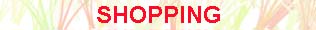 e-commerce solutions