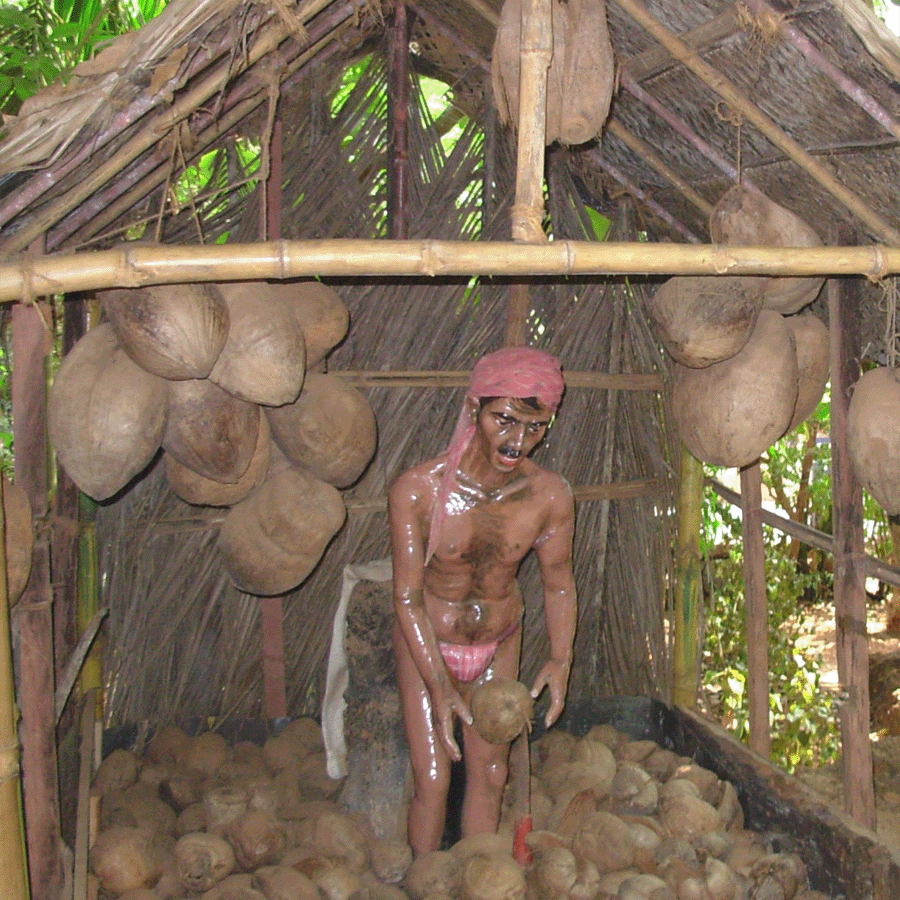 download free  goa photo