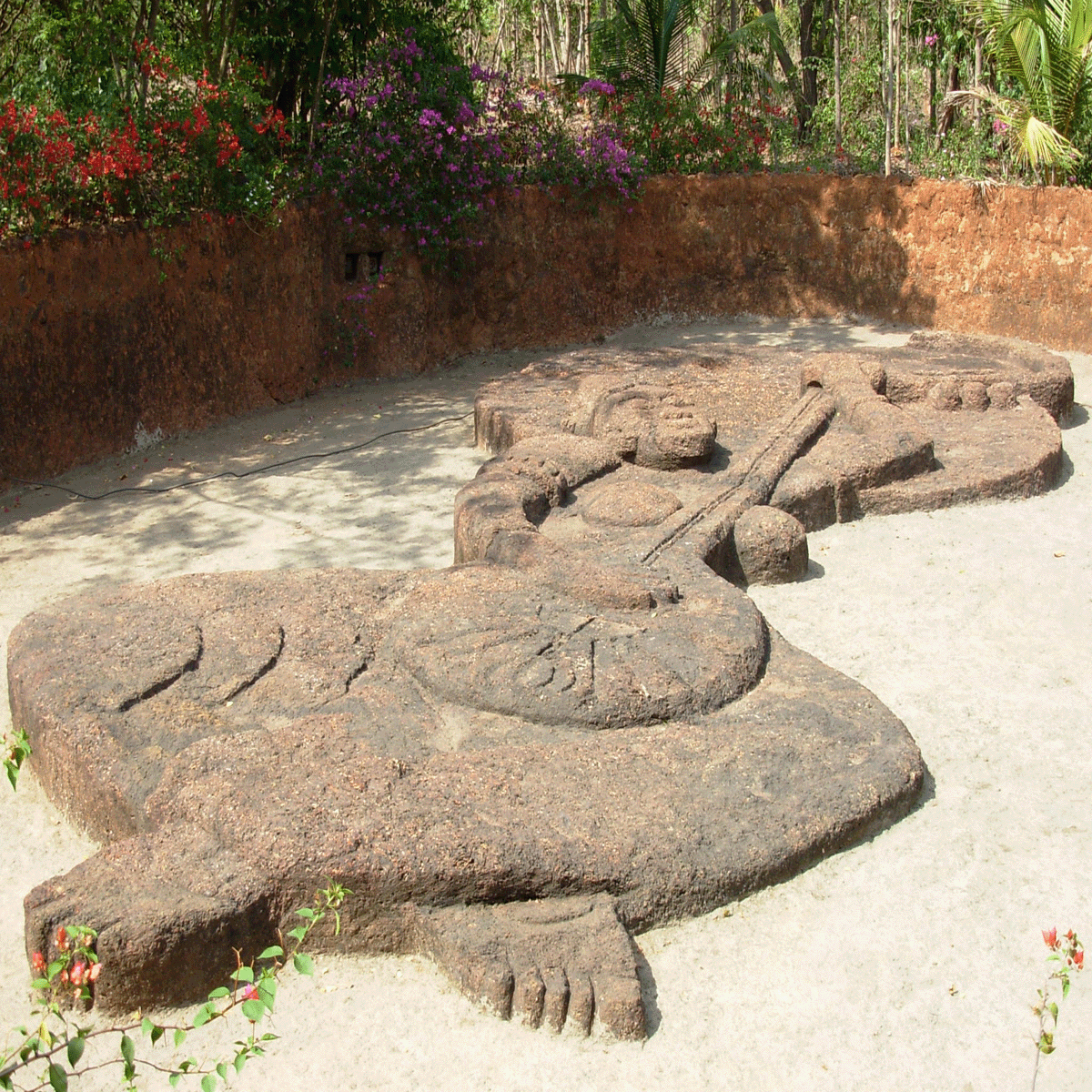 Free download site for exclusive photos