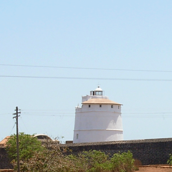 Free exclusive photos