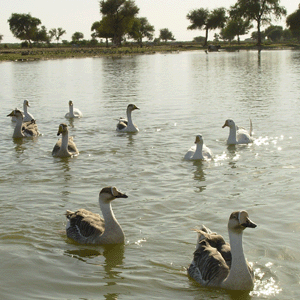 Free photo download site