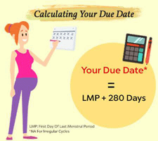 Pregnancy Due Date