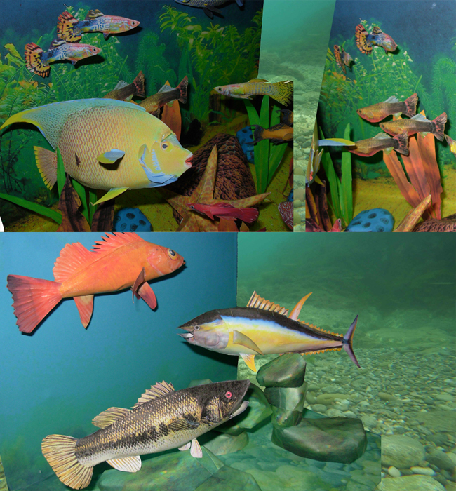   3d Models