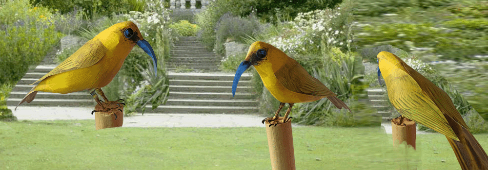 Akiapola Paper Craft 3d Model