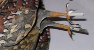 craft models