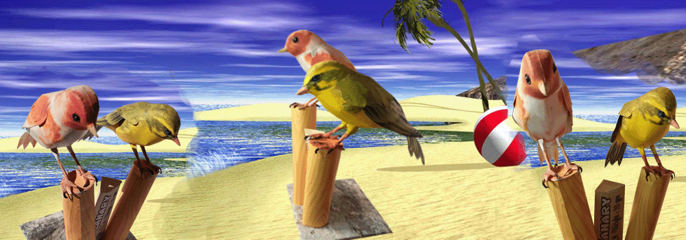 Canary Paper Craft 3d Model