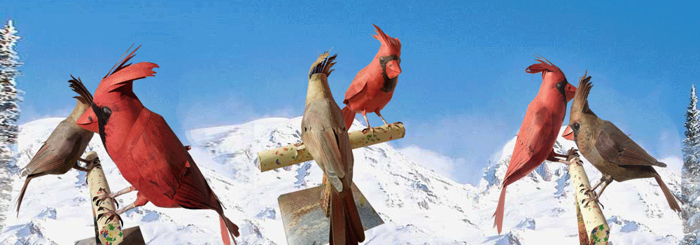 Cardinal Craft 3d Model