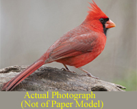 craft models