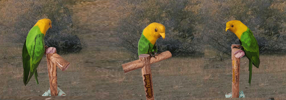 Carolinaparkeet Paper Craft 3d Model