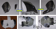  Crow  Craft Model