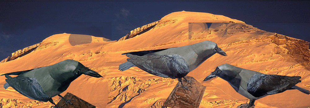 Crow Paper Craft 3d Model