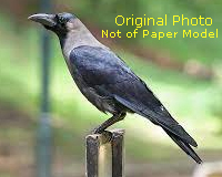 craft models