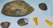 Duck  Paper Model