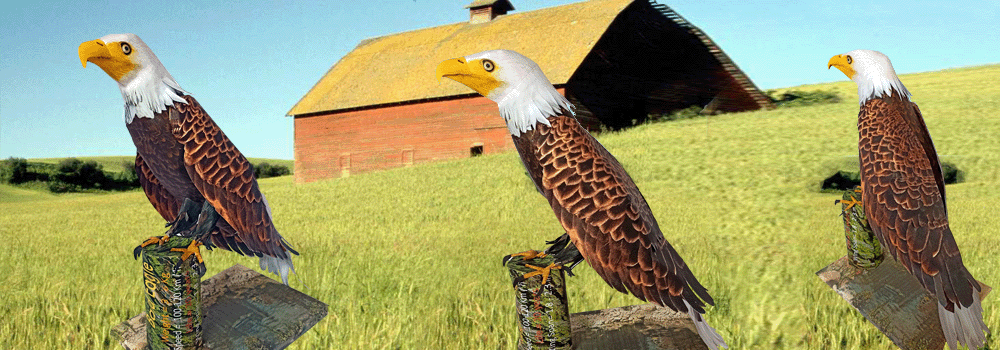 Eagle Paper Craft 3d Model
