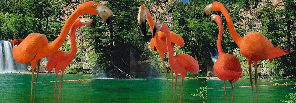 Flamingo Paper Craft 3d Model
