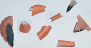 Flamingo Bird