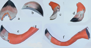 Flamingo Craft Model