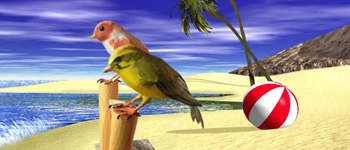 Paper Craft 3d Models Birds