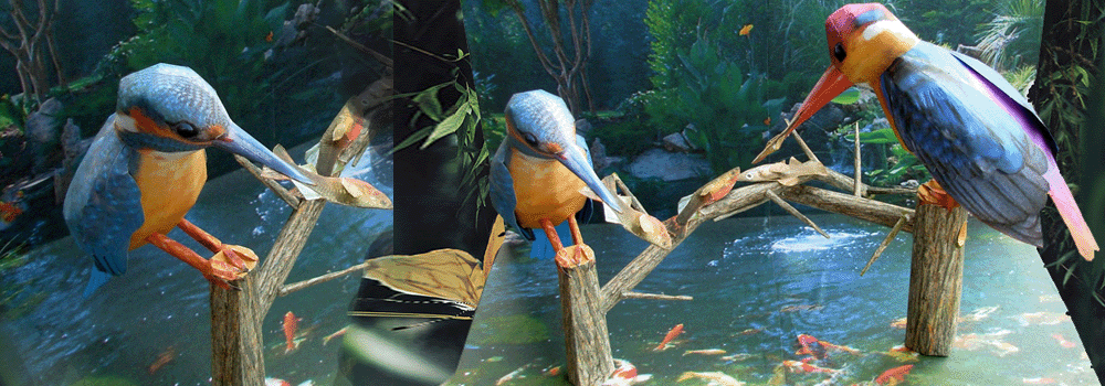 Kingfisher Paper Craft 3d Model