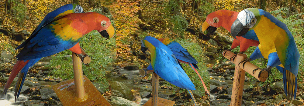 Macaw Paper Craft 3d Model