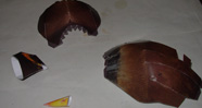 craft models