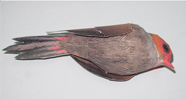model