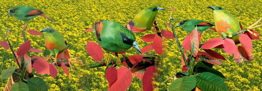Fire Tailed Myzornis Paper Craft 3d Model