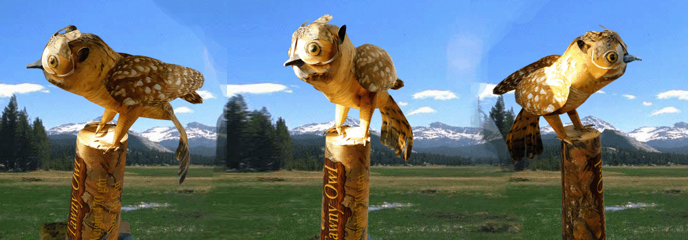 Owl Paper Craft 3d Model