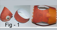 Idian Parrot Paper   3d models