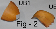 Idian Parrot  models
