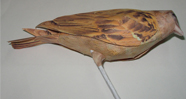 free paper Models