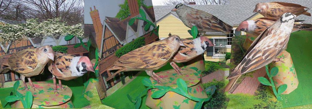 Sparrow Paper Craft 3d Model