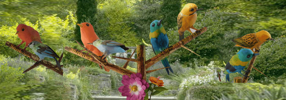 Tanager Paper Craft 3d Model